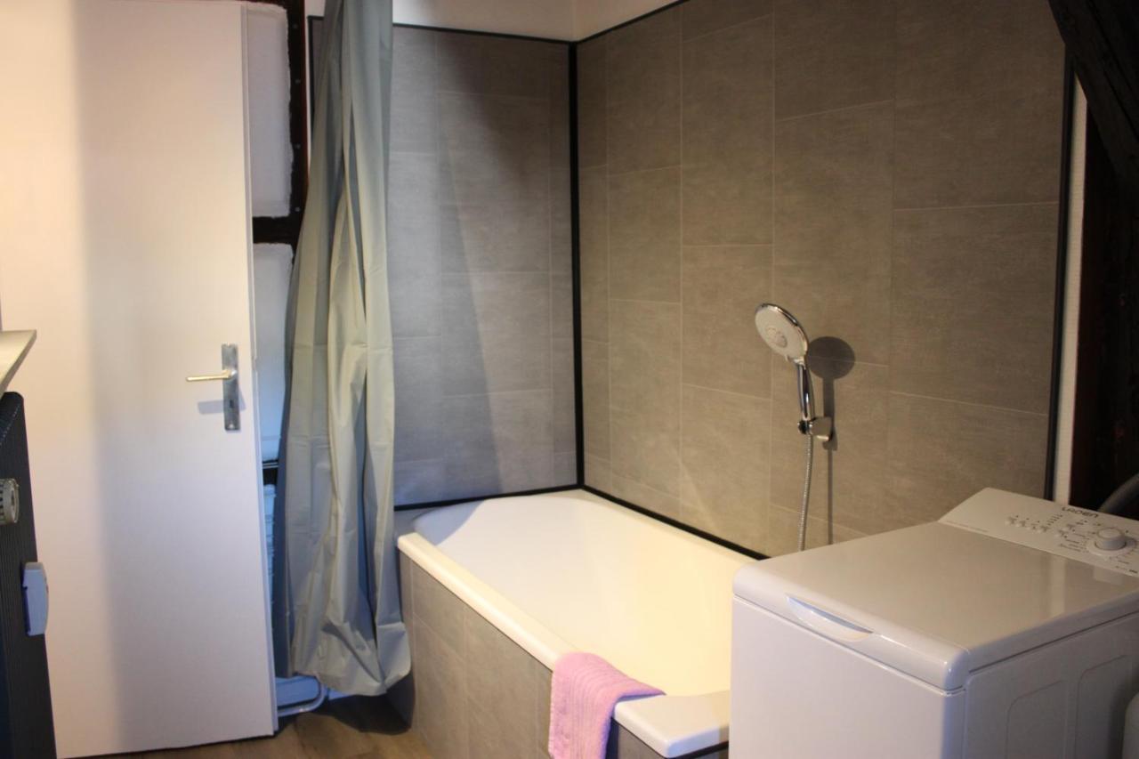 Appartement Les Violettes Colmar Eksteriør billede